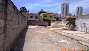 M0250 3.JPG